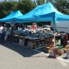 vide grenier 2015